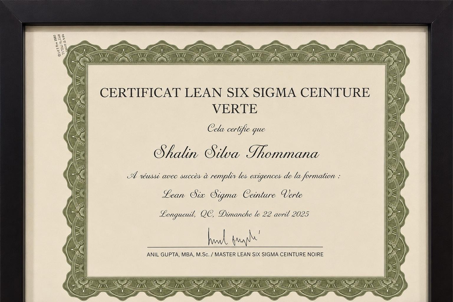 Lean Six Sigma Green Belt — Axis Lighting — Anil Gupta (Master Black Belt)